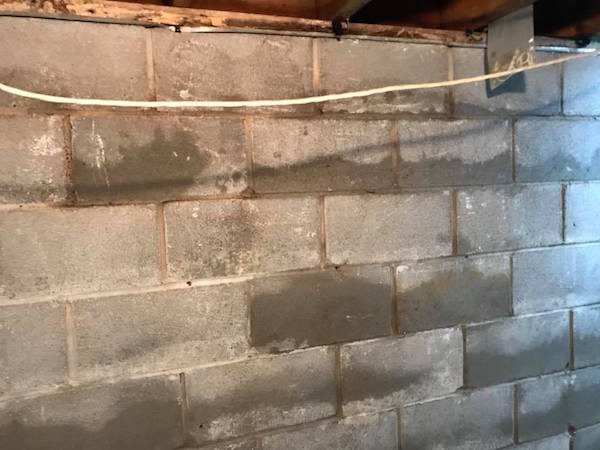 Moist basement walls in Indianapolis