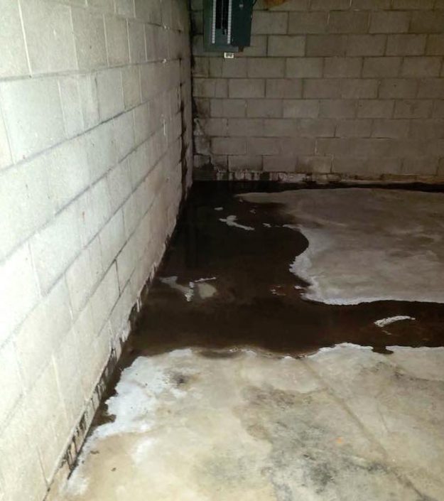 Wet basement in Indianapolis, IN